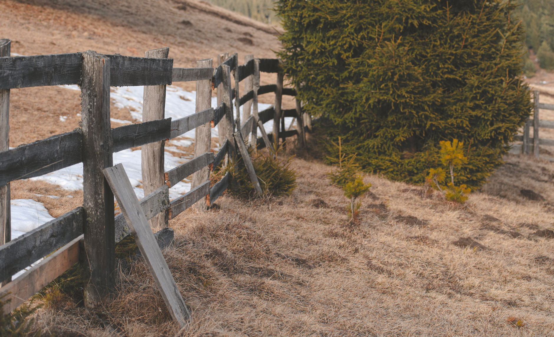 Rustic wooden fence along the countryside in Covasna, during a cold season